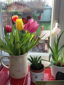 16143838_10154296116102919_8317158252689175824_o