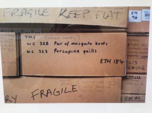 16665154_10154343022232919_8213201125535083719_o