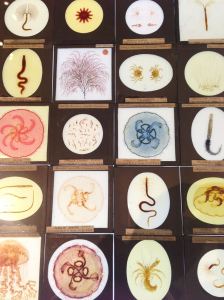 16700219_10154343022227919_7063473173904134446_o