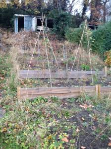 15110318_10154092659717919_343124526218102013_o